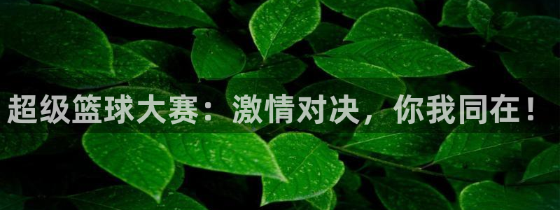意昂体育app官方网站入口在线观看：