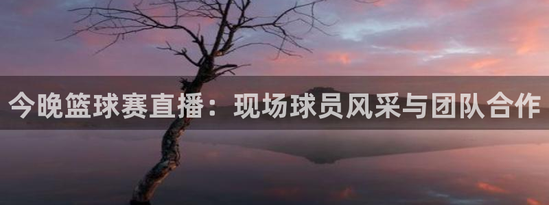意昂平台登录入口2025：今晚篮球赛
