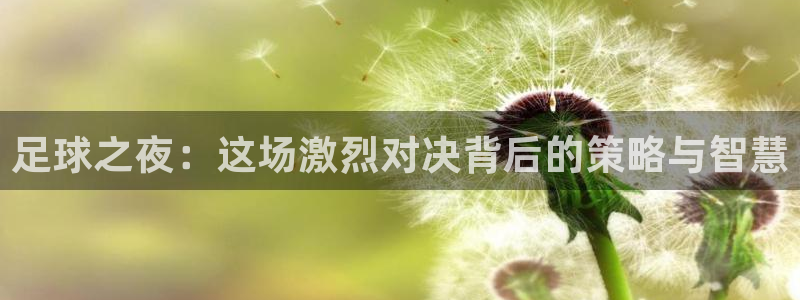 意昂体育app官方网站入口下载：足球