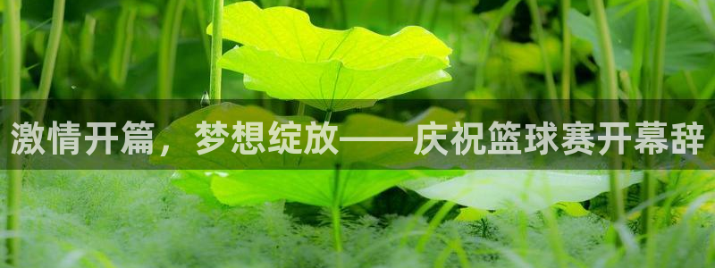 意昂官网入口登录：激情开篇，梦想绽放