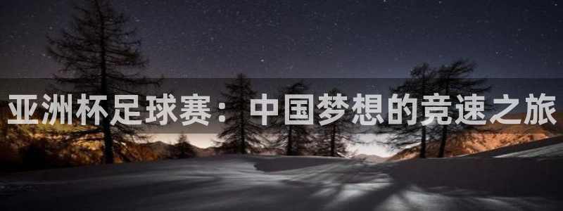 意昂平台：亚洲杯足球赛：中国梦想的竞
