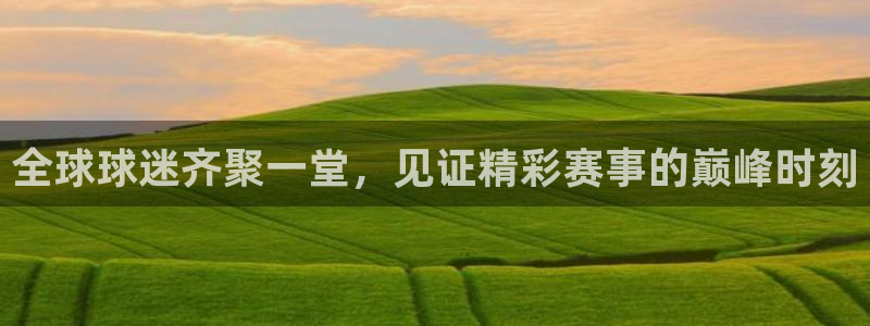 意昂平台登录入口最新版本介绍：全球球