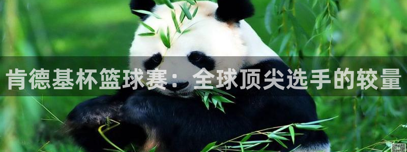 意昂登录：肯德基杯篮球赛：全球顶尖选