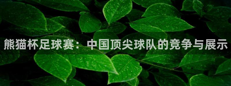 意昂官网入口登录：熊猫杯足球赛：中国