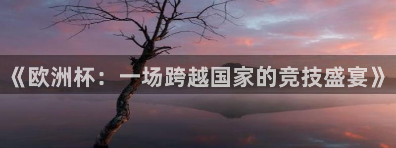 意昂体育是正规平台的吗：《欧洲杯：一