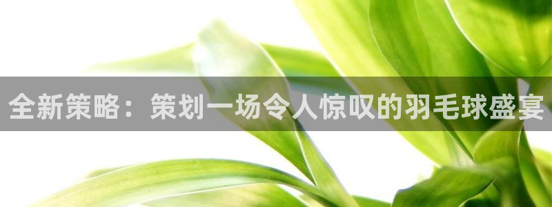 意昂体育是正规平台的吗：全新策略：策