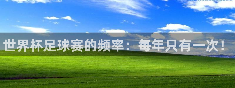 意昂平台登录方法：世界杯足球赛的频率