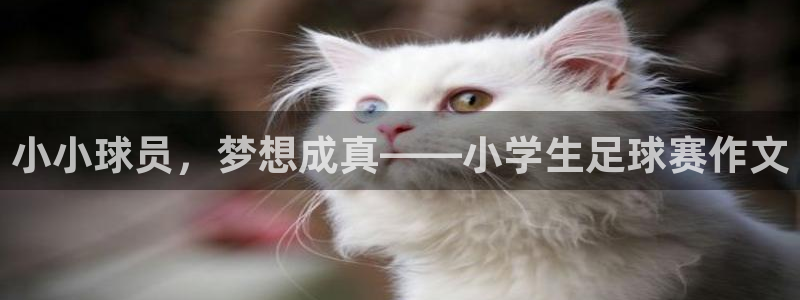 意昂体育app官方网站入口下载：小小