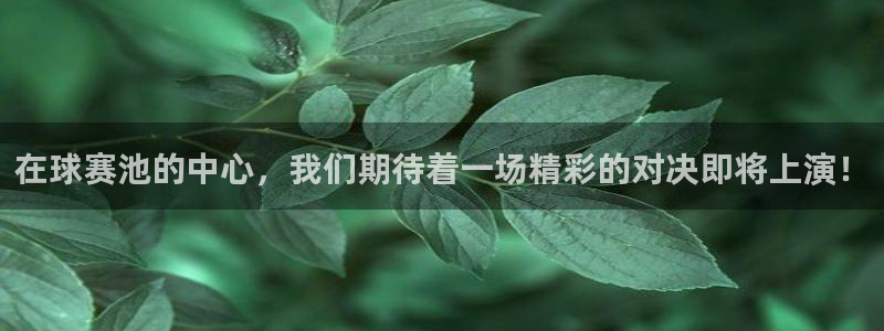 意昂平台官网：在球赛池的中心，我们期