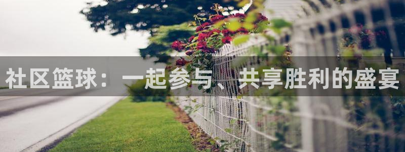 意昂平台登录入口2025：社区篮球：