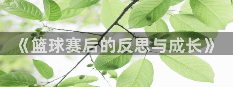 意昂体育官网：《篮球赛后的反思与成长