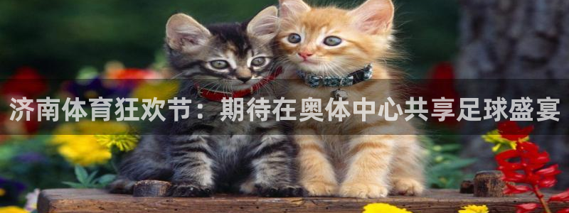  意昂官网注册平台：济南体育狂欢节：期待在奥体中心共享足球盛宴