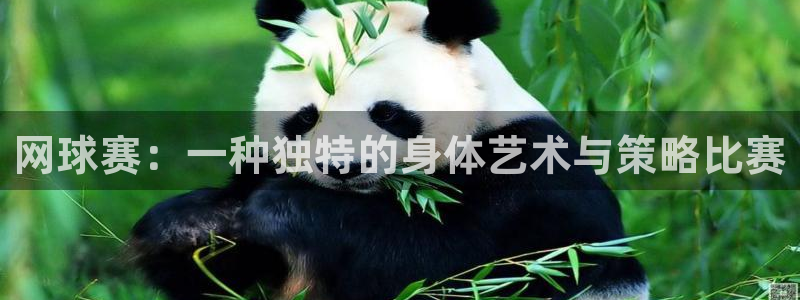 意昂平台官网：网球赛：一种独特的身体