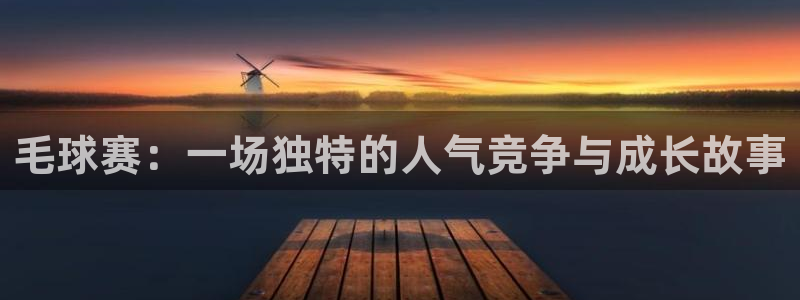 意昂平台：毛球赛：一场独特的人气竞争