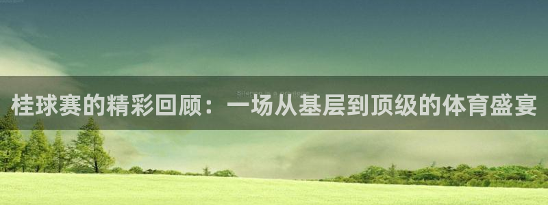 意昂平台app官方下载：桂球赛的精彩