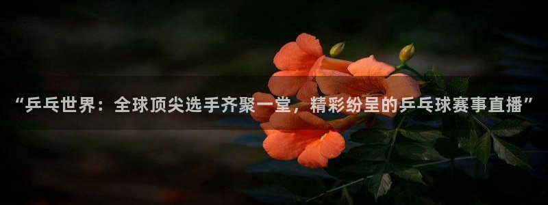 意昂体育app下载安装官网：“乒乓世