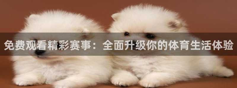 意昂体育app官方下载安装：免费观看