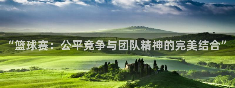意昂平台app官方下载：“篮球赛：公平竞争与团队精神的完美结