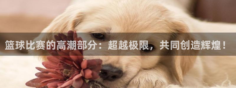 意昂体育app下载安装官网：篮球比赛的高潮部分：超越极限，共