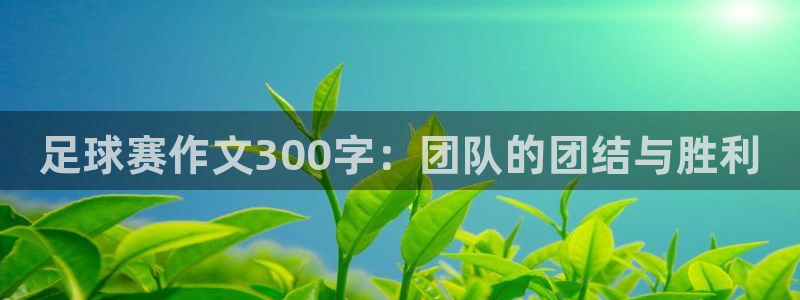 意昂注册：足球赛作文300字：团队的