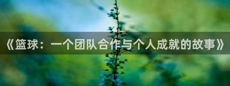  意昂平台：《篮球：一个团队合作与个人成就的故事》
