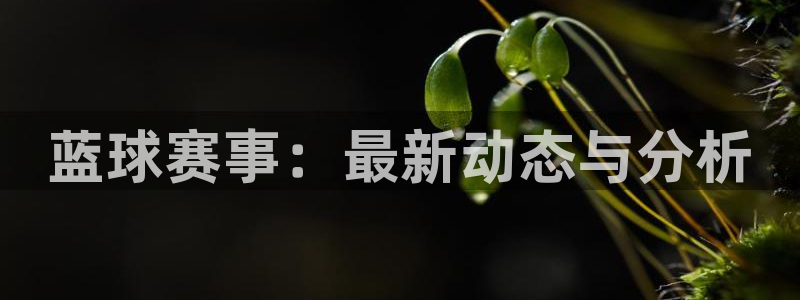 意昂体育app下载安装官网：蓝球赛事：最新动态与分析
