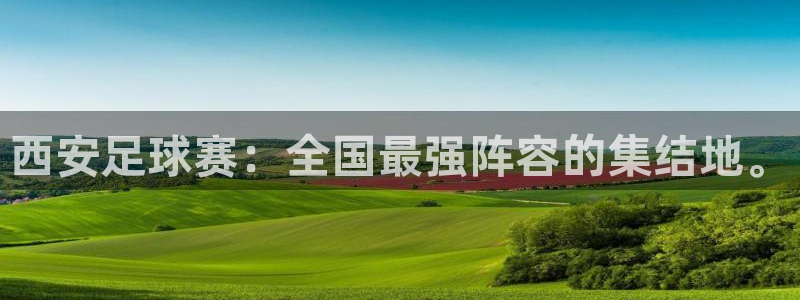 意昂平台登录入口最新版本介绍：西安足球赛：全国最强阵容的集结