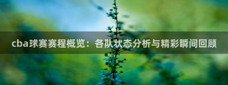 意昂体育app官方网站入口下载：cba球赛赛程概览：各队状态