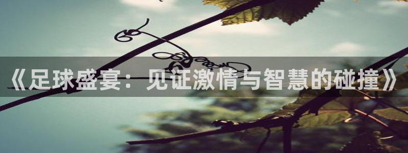 意昂体育app下载安装官网：《足球盛