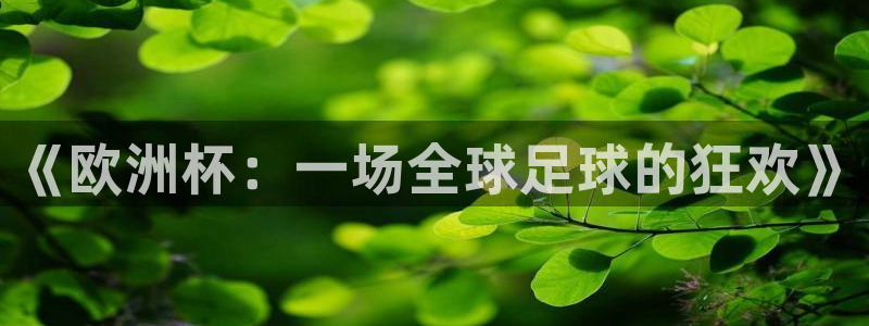  意昂官网入口登录：《欧洲杯：一场全球足球的狂欢》