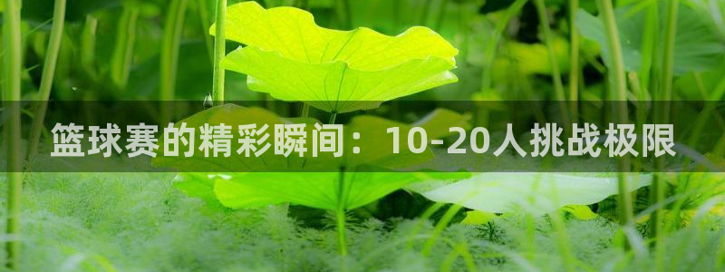 意昂平台登录方法：篮球赛的精彩瞬间：