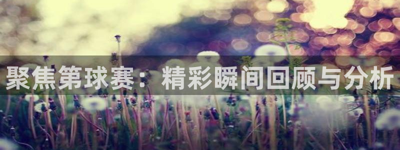 意昂体育app正版下载官网：聚焦第球赛：精彩瞬间回顾与分析