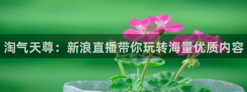 咪咕视频app：淘气天尊：新浪直播带你玩转海量优质内容