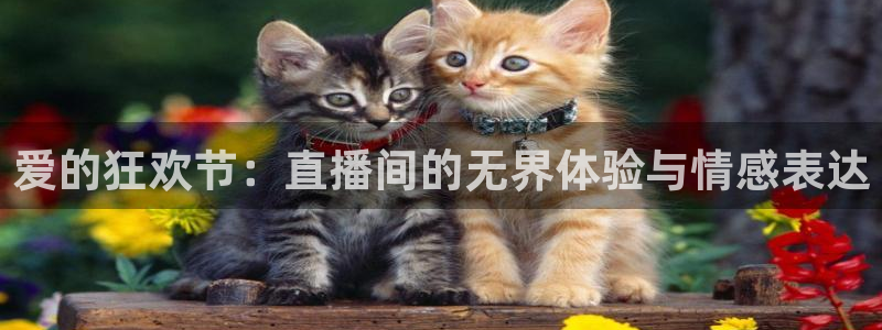 咪咕足球直播：爱的狂欢节：直播间的无界体验与情感表达