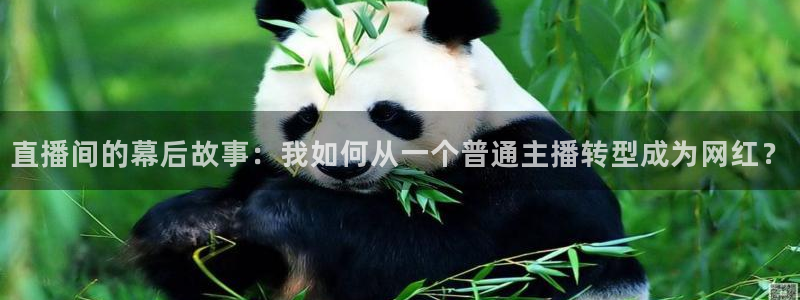 免费下载咪咕体育直播app：直播间的幕后故事：我如何从一个普通主播转型成为网红？